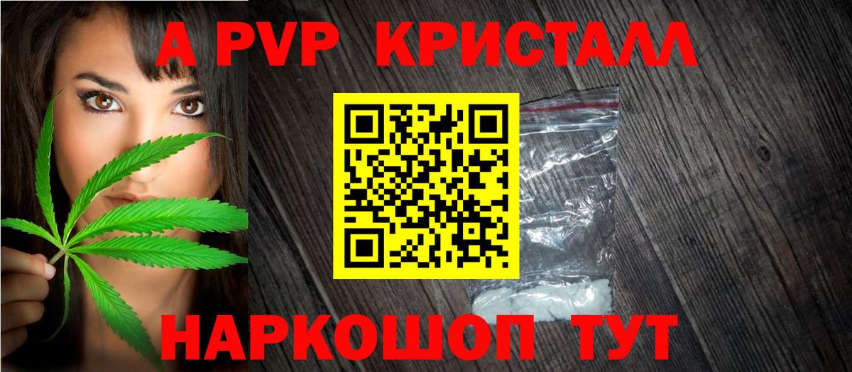 А ПВП крисы CK  А ПВП крисы CK  Наро-Фоминск  Вход с VPN  Alfa_PVP СК КРИС 