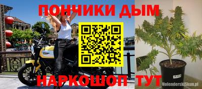 бошки Славгород