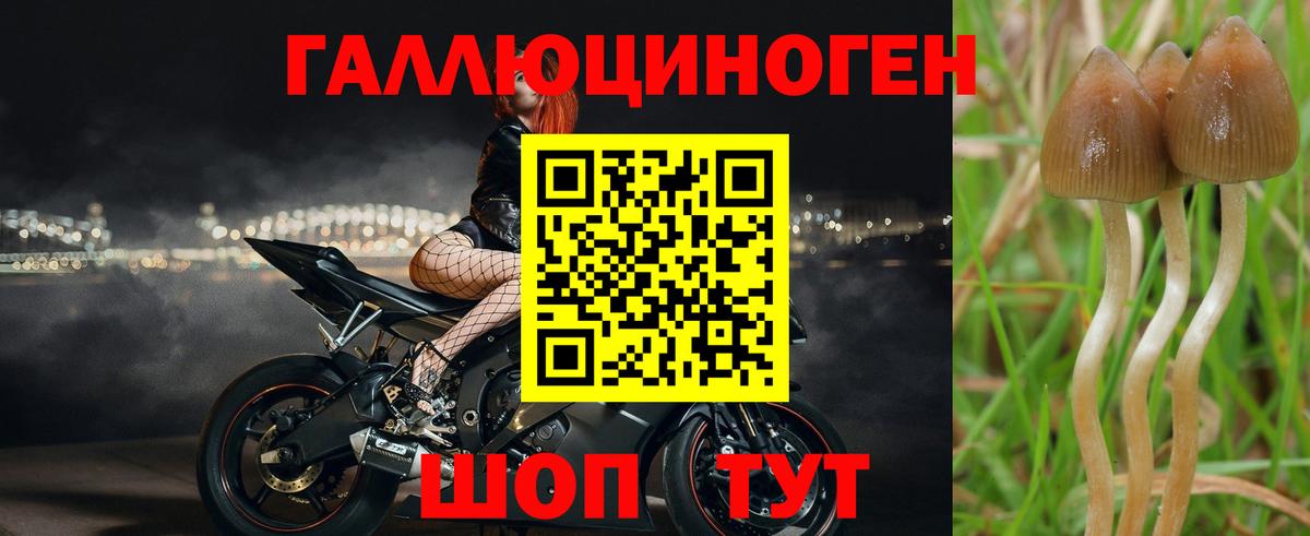 Псилоцибиновые грибы прущие грибы Наро-Фоминск